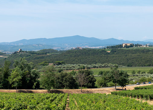 Montepulciano